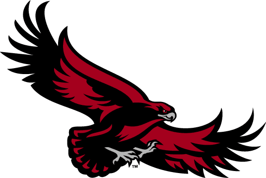 St. Joseph's Hawks 2001-Pres Alternate Logo v4 iron on transfers for clothing